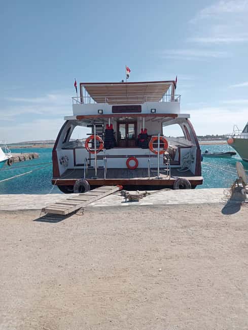 Hurghada: Dolphin & Coral Reef Snorkeling Tour with Lunch - Who will enjoy this trip most
