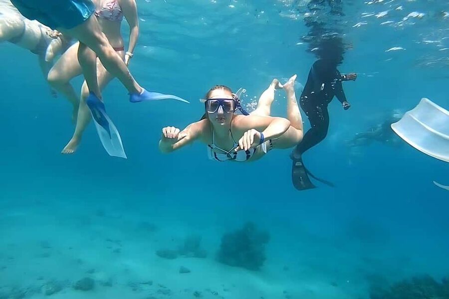Hurghada: Dolphin Cruise with Snorkeling & Buffet Lunch - Should you book the Hurghada dolphin cruise?