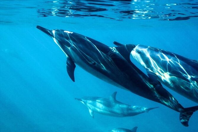 Hurghada Dolphin House: Full-Day Snorkeling & Boat Experience - Cruising toward Dolphin House