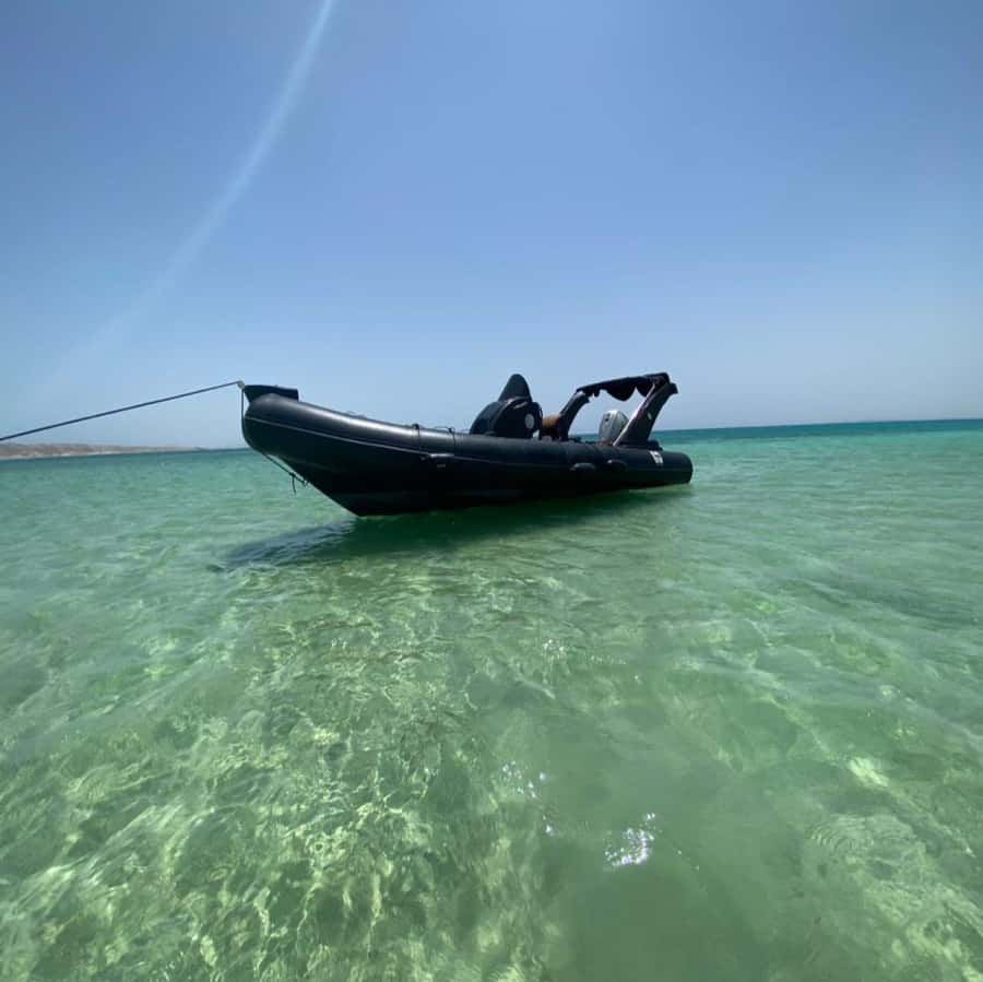 Hurghada: Dolphin House & Water sports Banana by Speedboat - Dolphin House and the chance to see wild dolphins
