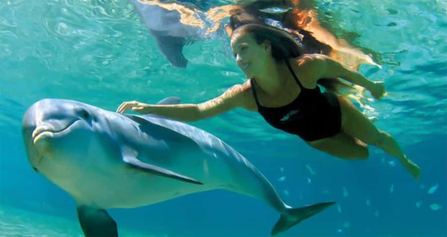 Hurghada: Dolphin watch Cruise with optional pickup - What this Hurghada boat day is really like