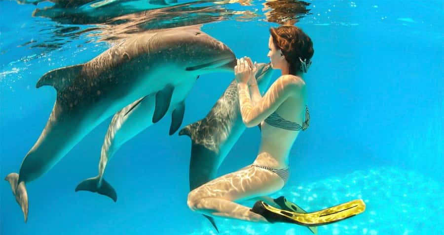 Hurghada: Dolphin watch Cruise with optional pickup - A spacious yacht and a slow start at sea