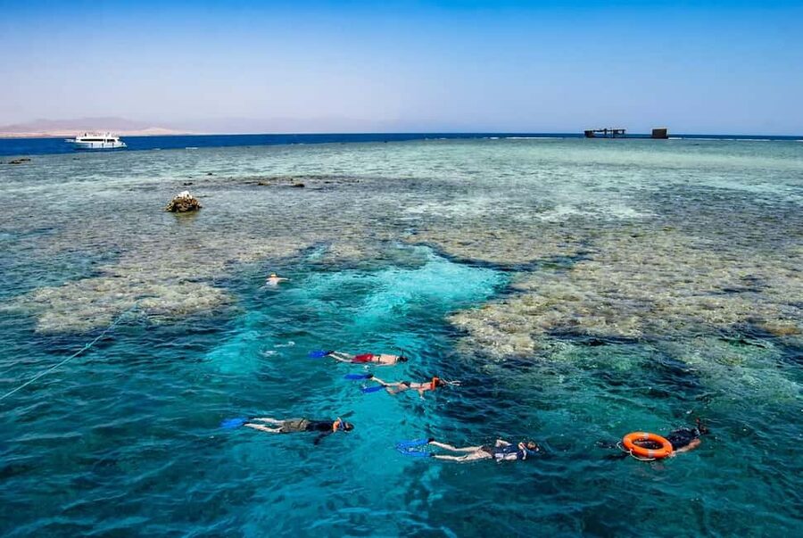 Hurghada: Dolphin Watching Boat Tour with Snorkeling & Lunch - Lunch, shade, and a break from the water