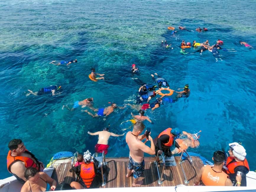 Hurghada: Dolphin Watching Boat Tour with Snorkeling & Lunch - Who should book this Hurghada boat trip?