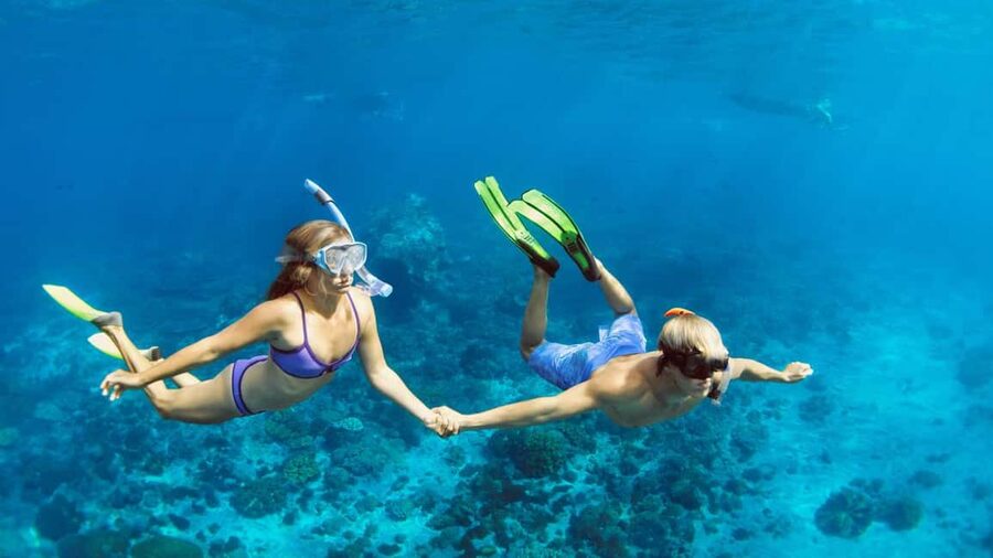 Hurghada: Dolphin Watching Boat Tour with Snorkeling & Lunch - Practical advice before you go