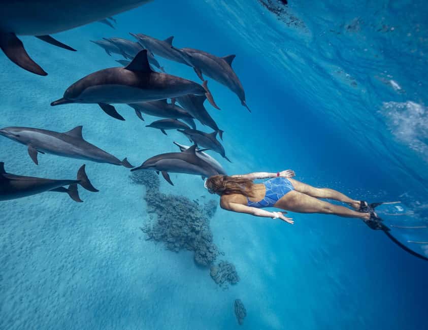 Hurghada or Makadi: Discover the Magic of Dolphin House - Sofa boat fun after the reef stops