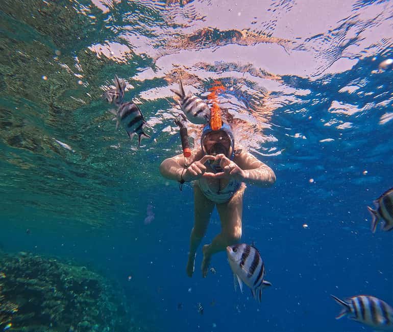 Hurghada or Makadi: Discover the Magic of Dolphin House - Lunch, fruit, and drinks on the boat