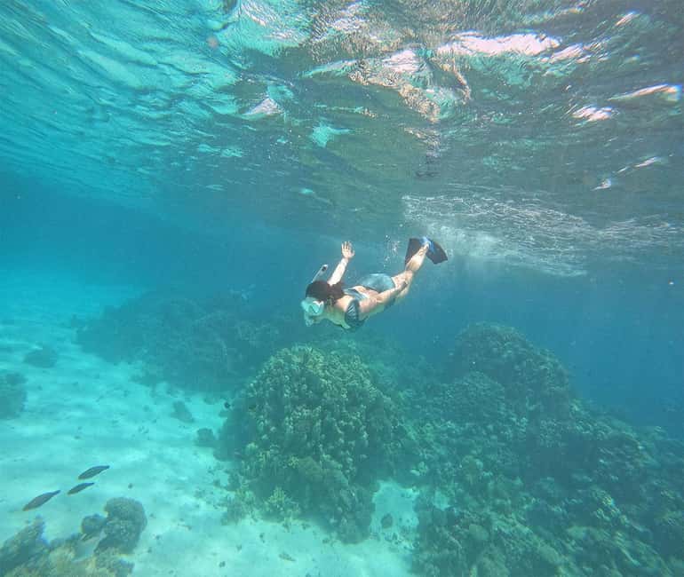 Hurghada or Makadi: Discover the Magic of Dolphin House - A crew that keeps the day moving