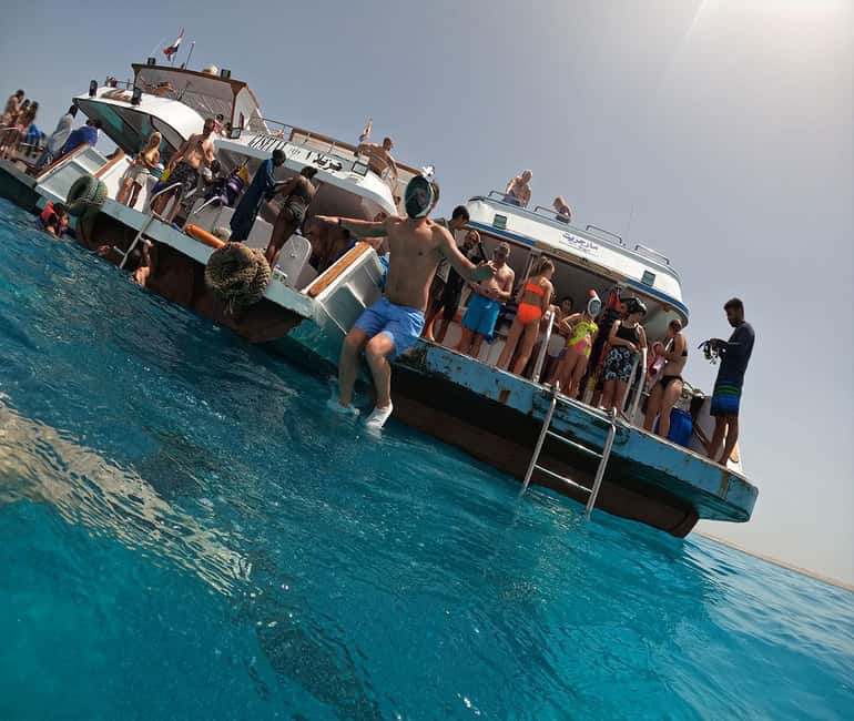 Hurghada or Makadi: Discover the Magic of Dolphin House - Who should book this Red Sea trip?