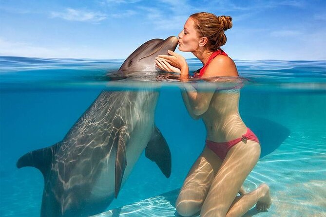 Hurghada: Private 4 Hours Speedboat Dolphin House Snorkling Tour - Choosing between Dolphin House and the islands