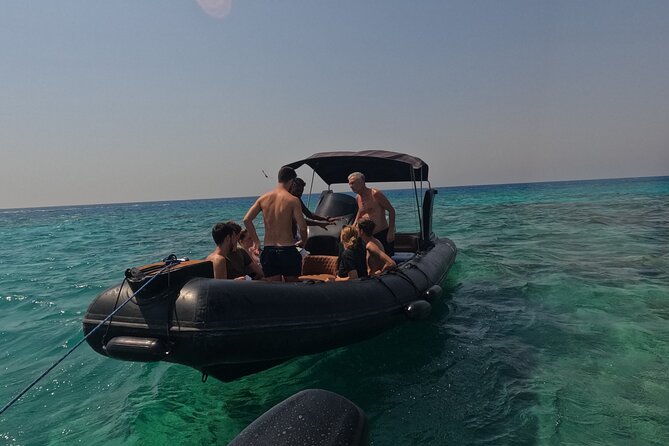 Hurghada Speedboat Dolphin Watching and Snorkeling - The guides make a real difference