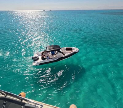 Speedboat Dolphin Watching & Snorkeling with Lunch