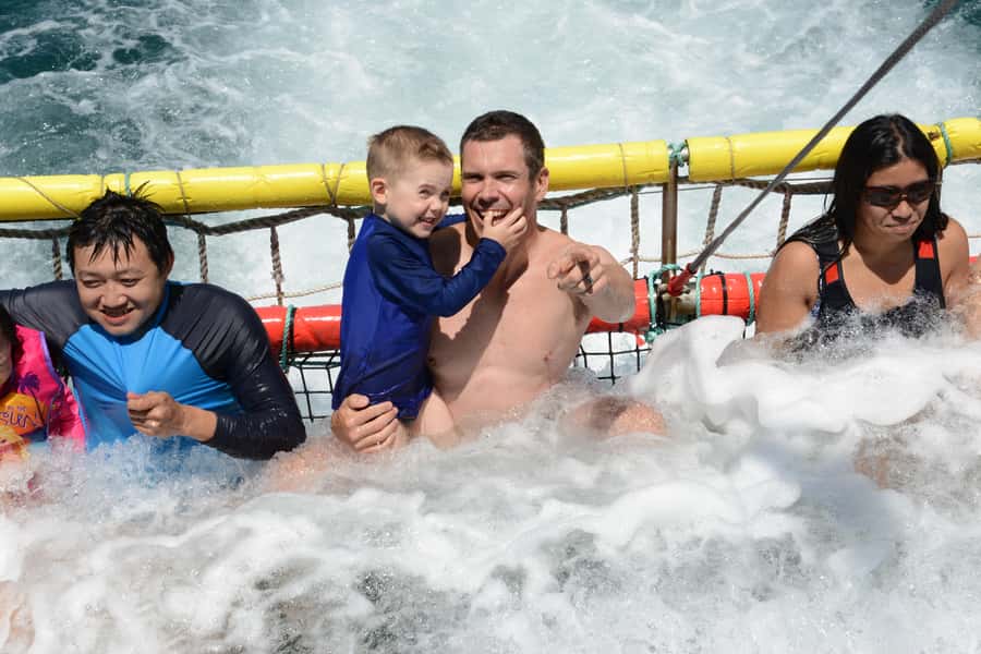 Huskisson: Dolphin Cruise & Boom Netting Experience - Dolphins and boom netting in one short cruise