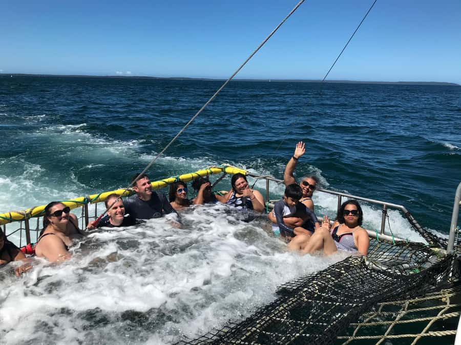 Huskisson: Dolphin Cruise & Boom Netting Experience - Who will enjoy this cruise most?