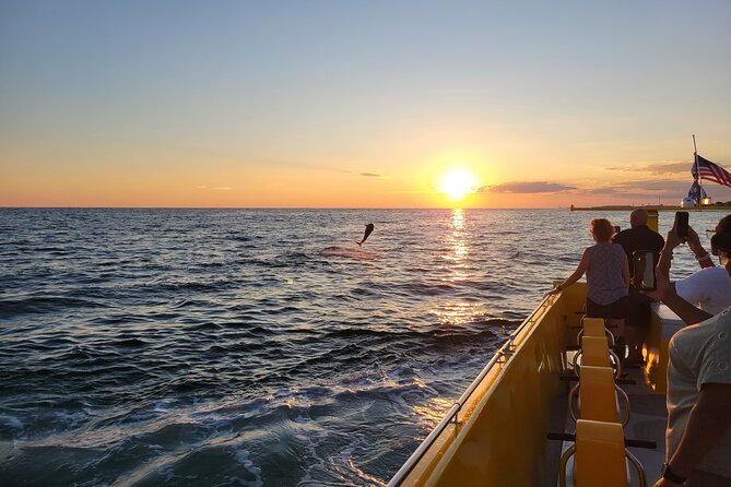 Hydro Rocket Dolphin Sightseeing Boat Tour from Destin - Is $34 a fair price?
