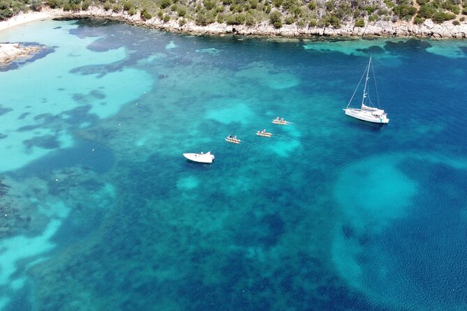 Hydrobike tour with aperitif and dolphins - What the hydrobike feels like on the water