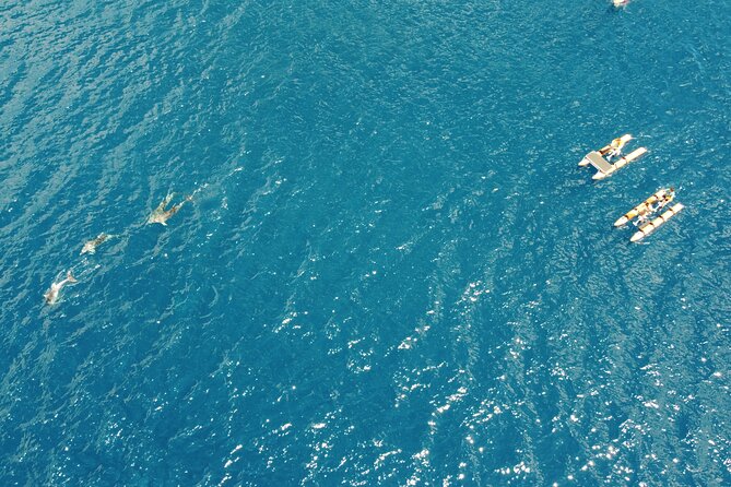 Hydrobike tour with aperitif and dolphins - Figarolo Island and the Sardinian aperitif