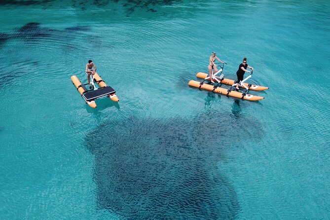 Hydrobike tour with aperitif and dolphins - Who will enjoy this most?
