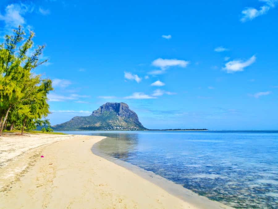 Île aux Bénitiers: Snorkeling w/Dolphins Boat Tour & Lunch - Snorkeling near Crystal Rock and Le Morne