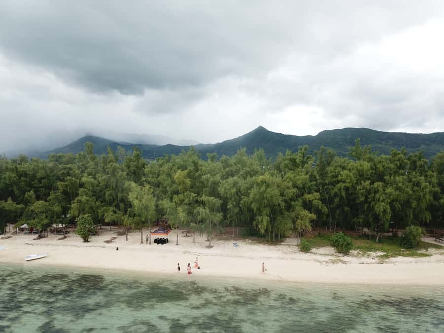 Île aux Bénitiers: Snorkeling w/Dolphins Boat Tour & Lunch - Who will enjoy this tour most