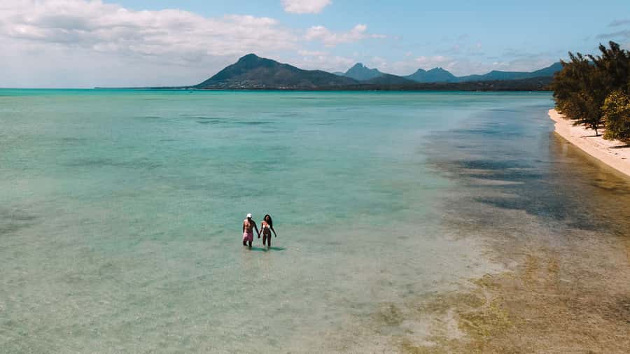 Île aux Bénitiers: Snorkeling w/Dolphins Boat Tour & Lunch - Should you book the Île aux Bénitiers dolphin tour?