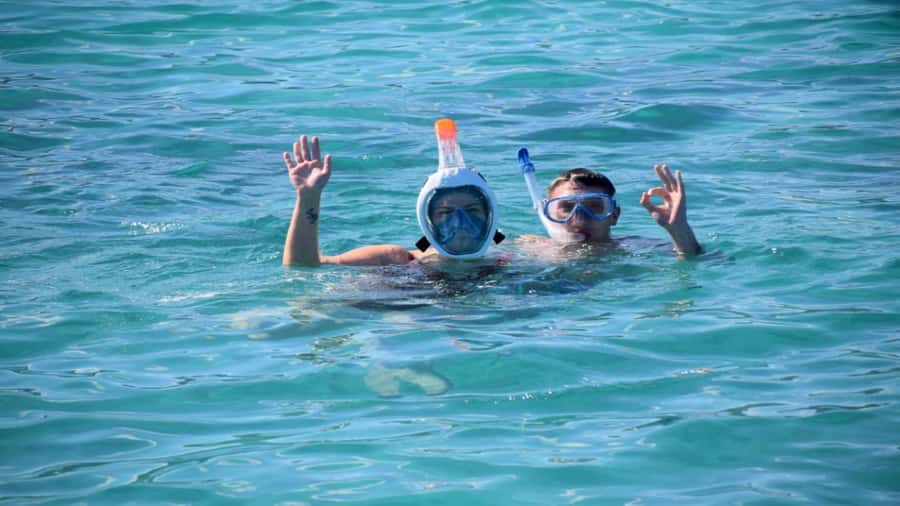 Île aux Bénitiers Snorkeling with Dolphins + Seafood Lunch - Setting out from Tamarin at 07:30