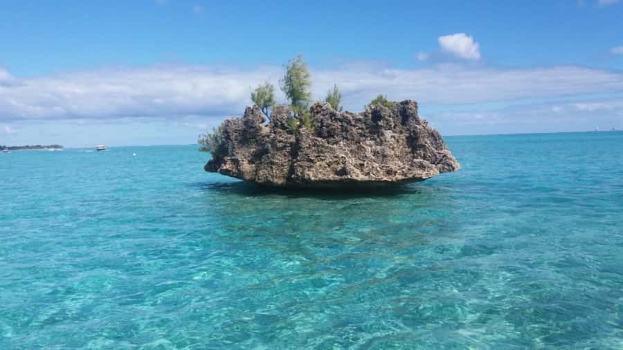 Île aux Bénitiers Snorkeling with Dolphins + Seafood Lunch - Beach time after the meal