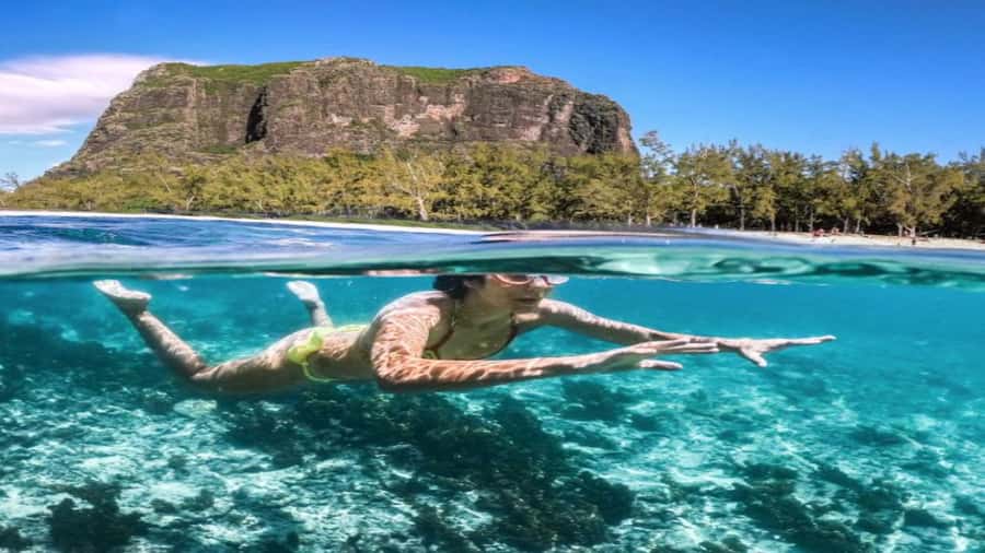 Île aux Bénitiers Snorkeling with Dolphins + Seafood Lunch - What to bring for a more comfortable day