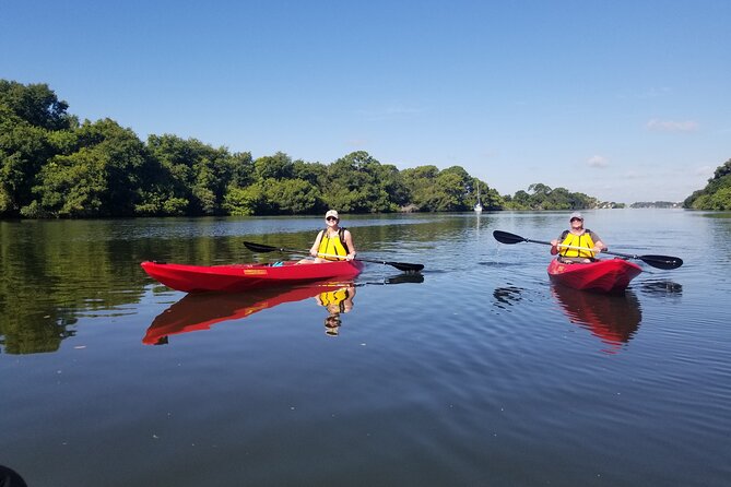 Indian River Clear Bottom Kayak or Paddleboarding Manatee and Dolphin Tour - Why the guides matter on a calm lagoon