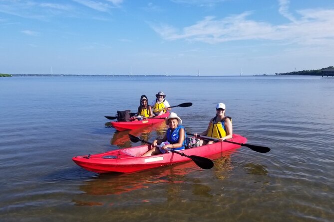 Indian River Clear Bottom Kayak or Paddleboarding Manatee and Dolphin Tour - Choosing a clear-bottom kayak or paddleboard