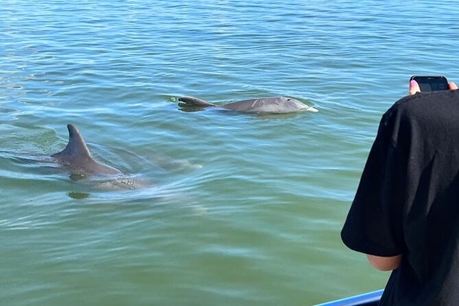 Island Paradise: Dolphin, Shelling, Birding Eco Boat Tour - Goodland gives you a quick look at old Florida