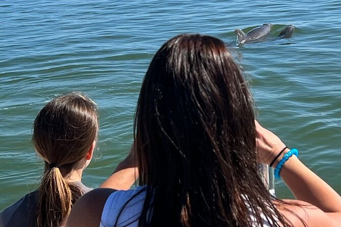 Island Paradise: Dolphin, Shelling, Birding Eco Boat Tour - The guide can shape the day around your group