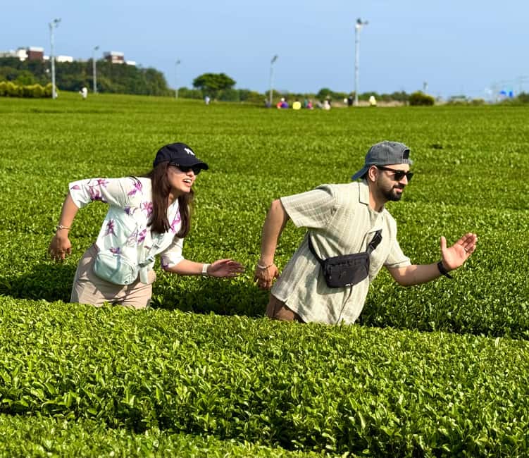 Jeju West: Small Group Healing Tour w/Caves & Dolphins - June’s guiding style and the small-group feel