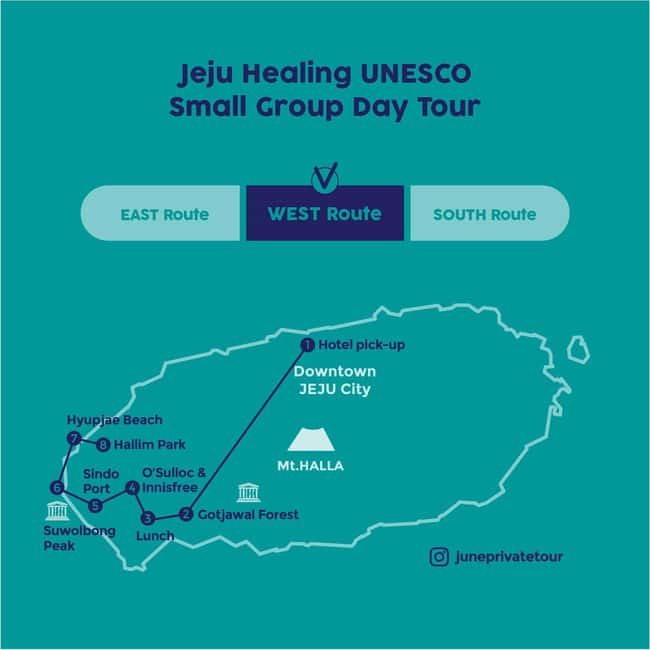 Jeju West: Small Group Healing Tour w/Caves & Dolphins - Starting in Jeju City and entering Gotjawal
