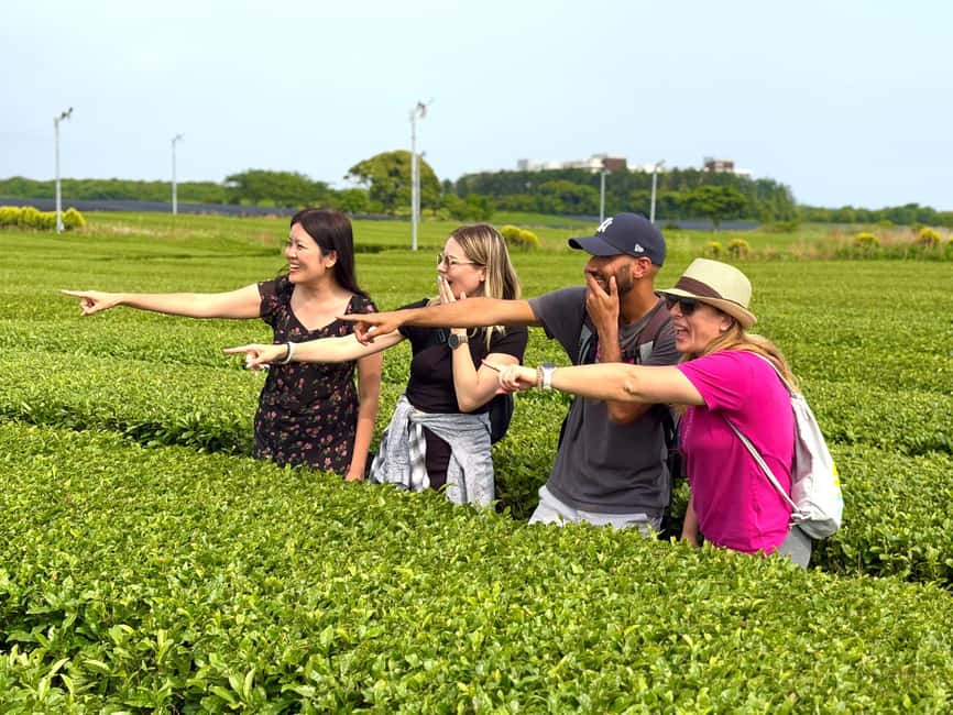 Jeju West: Small Group Healing Tour w/Caves & Dolphins - Hallim Park and its two lava tubes