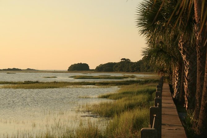 Jekyll Island Dolphin Tours - Choosing the best time for your trip