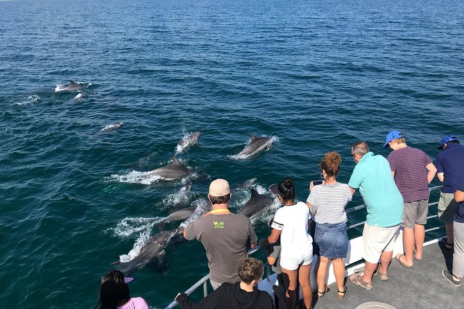 Jervis Bay Dolphin Cruise - Setting out from Huskisson’s Currambene Street