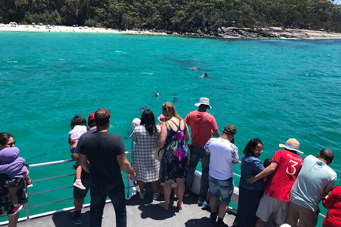 Jervis Bay Dolphin Cruise - The crew, commentary, and wildlife etiquette