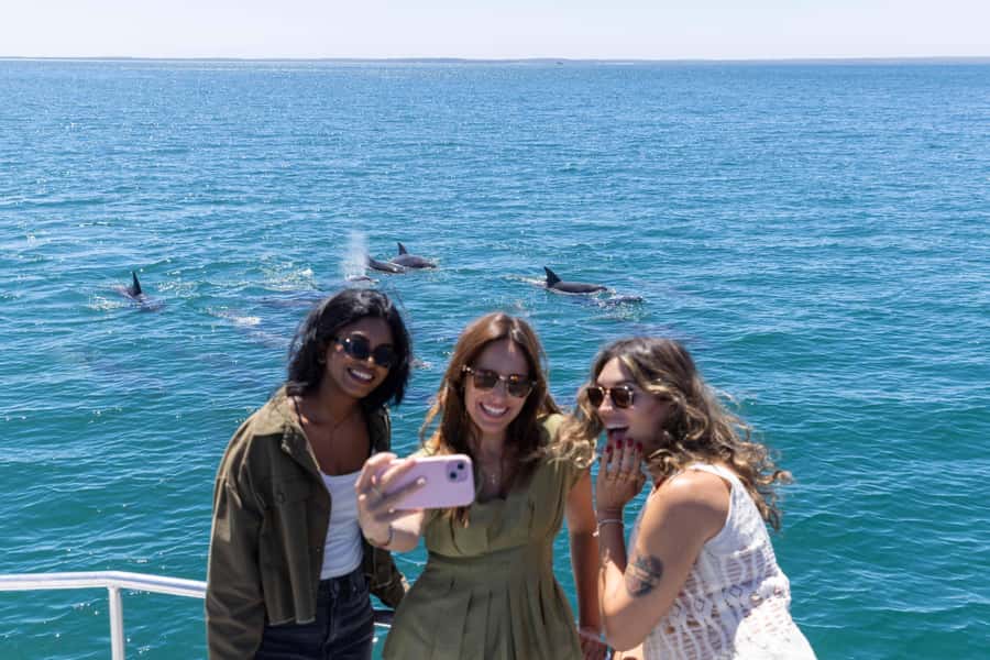 Jervis Bay Dolphin Cruise, Lunch, Berry&Kiama Blowhole Tour - The best parts of the day
