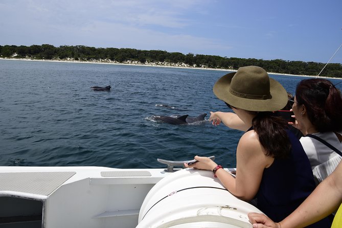 Jervis Bay Dolphin Cruise - How long is 90 minutes in practice?