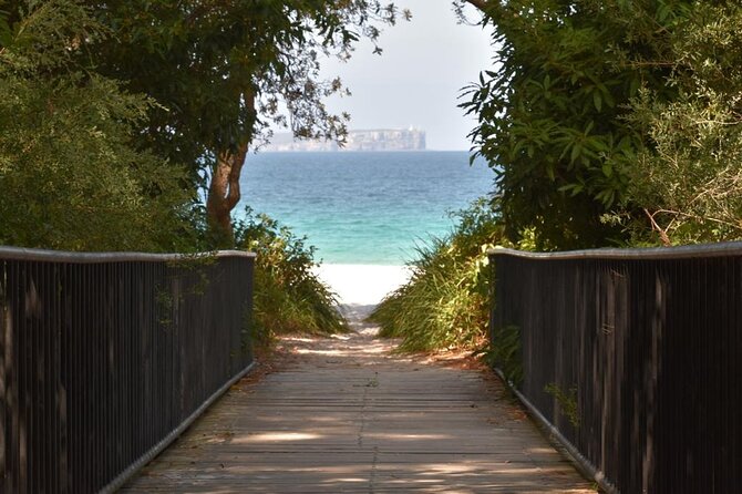 Jervis Bay Tour with Dolphins, Kangaroos & World's Whitest Beach - Cruising for dolphins in Jervis Bay Marine Park