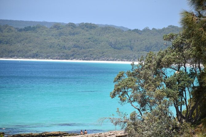 Jervis Bay Tour with Dolphins, Kangaroos & World's Whitest Beach - Guide style, group size, and what service to expect