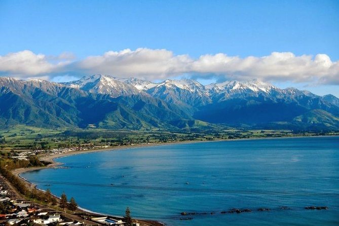 Kaikoura Swim with Dolphins Tour from Christchurch - The 7:00 am pickup from Christchurch
