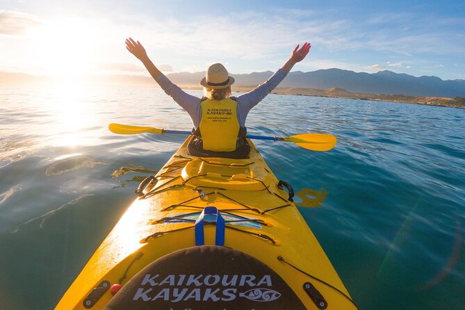 Kaikoura Swim with Dolphins Tour from Christchurch - What the dolphin swim feels like