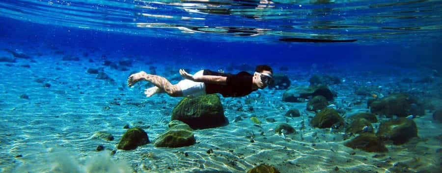 Kailua Kona: Dolphin, Sea Cave and Captain Cook Snorkel Tour - Sea caves, lava tubes, and the coast’s rough edges