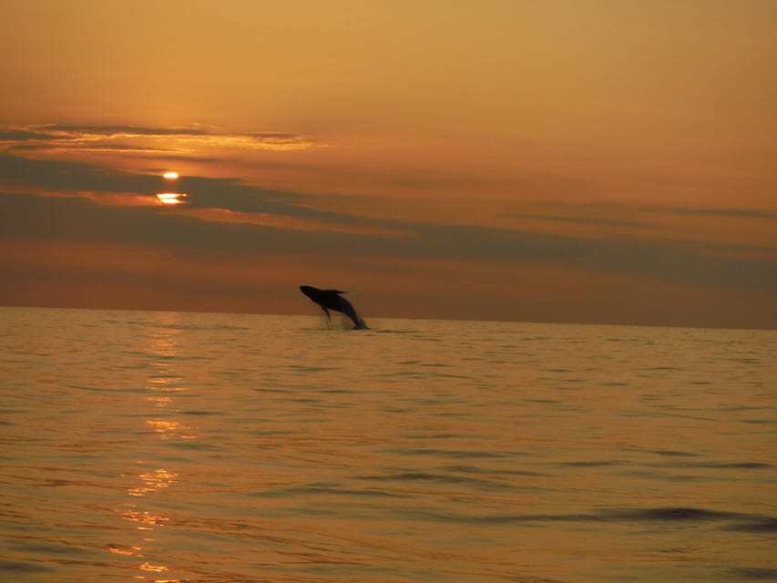 Kailua-Kona: Dolphin Watch & Double-Reef Snorkel Tour - A short Kona boat trip with a lot packed in