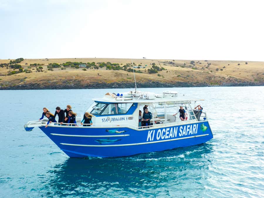 Kangaroo Island: Dolphin, Seal, and Swimming Boat Tour - Penneshaw is your launch point