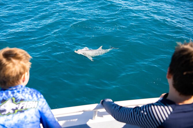 Kangaroo Island - Swim with Dolphins/Seals/Coastal Snorkel - Equipment and comfort on the boat