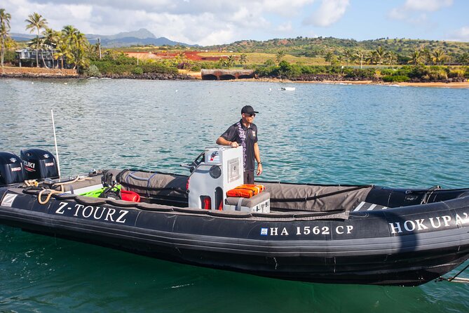 Kauai's South Side Whale and Dolphin Zodiac Boat Adventure - Winter whales and the luck of the ocean