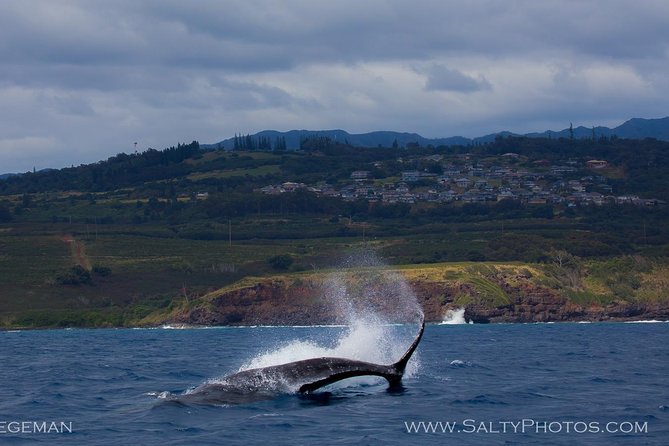Kauai's South Side Whale and Dolphin Zodiac Boat Adventure - Spouting Horn from the water